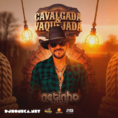 NETINHO DO FORRÓ CD NOVO 2026